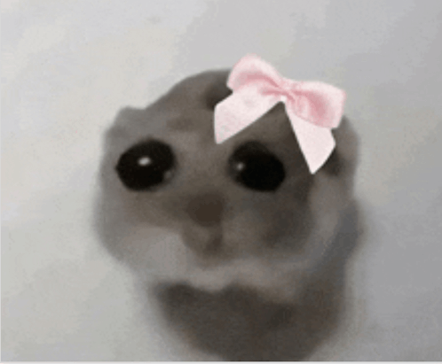 Hamster Mignon